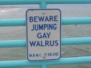 Beware of the Jumping Gay Walrus