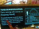PHOTO: A Dinosaur with Two Wangs