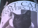 VIDEO: Lost Cat- Answers to...