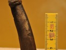 Ancient Dildo Found in Sweden?