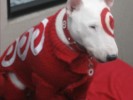 A Target Team Member's Open Letter To Target, its CEO, & Those Protesting on Saturday.