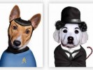 Pets As Famous People