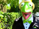 VIDEO: TMZ hounds Kermit the Frog on Bert and Ernie Being Gay
