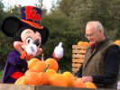 VIDEO: Mickey Mouse Shaped Pumpkins for Disneyland Paris