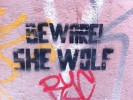IMAGE: Beware She Wolf