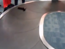 VIDEO: Dildo at the Baggage Claim