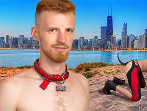 FOF #2181 - Pup Play Party - 06.19.15